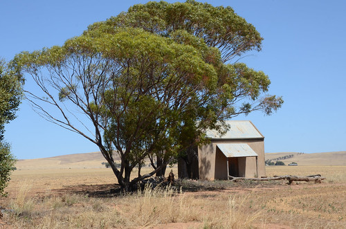 abandoned farm cottage australia lakeview southaustralia derelict