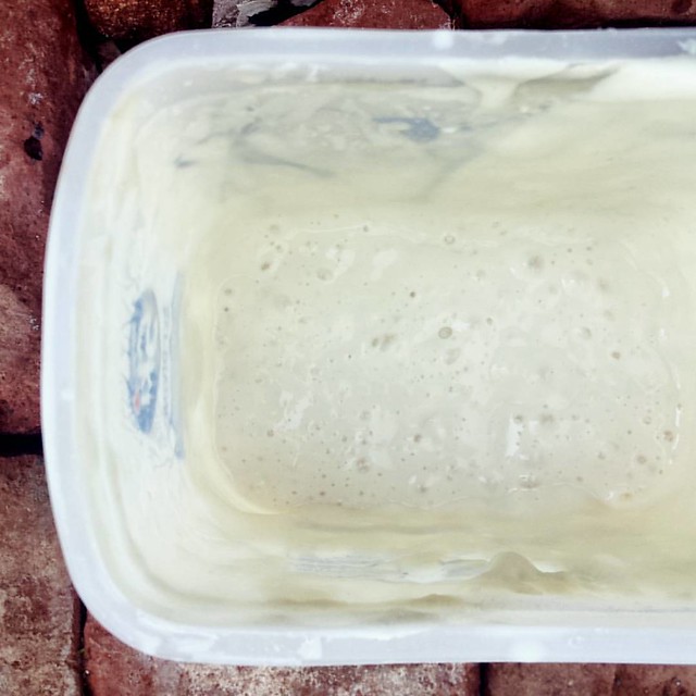 This bubbling mess is my Sourdough starter... It amazes me how 2 simple ingredients, flour and water, can create a natural levain for my bread, AMAZING!!!
