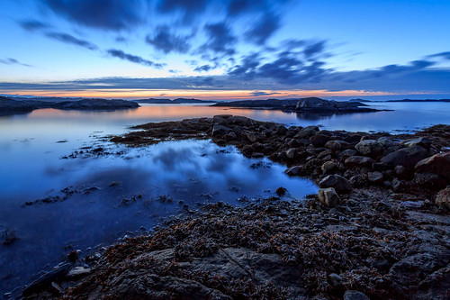 norway seaweed kristiansand trocks sunrise bluehour nature clouds landscape norge flekkerøya morning vestagder sea no