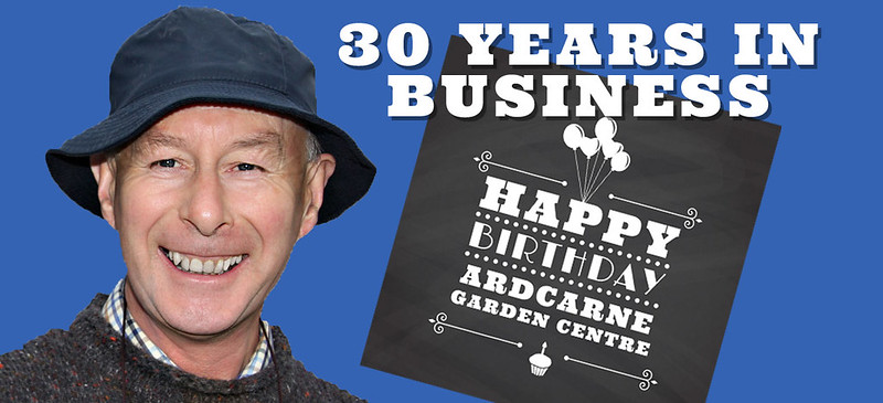 30 years in business