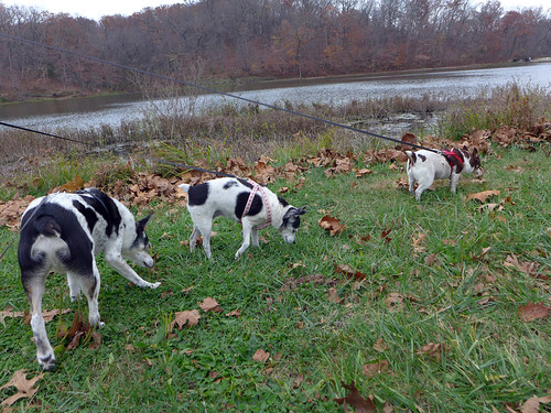 2015-11-04 - Walking at Wallace State Park - 0011 [flickr]