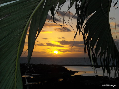 ocean sunset sky sun seascape beach water clouds sunrise landscape nikon outdoor stmartin palmtrees coolpix caribbean sunbeams waterscape orientbeach