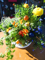 Colourful arrangement
