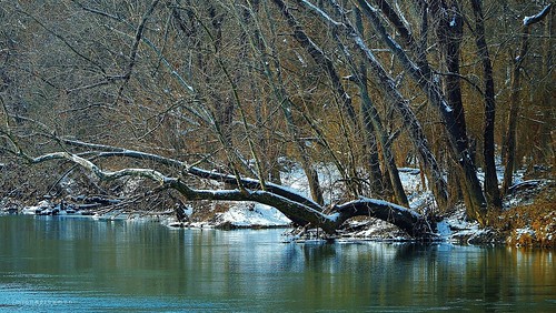 trees winter river landscape nikon timber bank 300mm whiteriver millrace waterscape hamon d3200