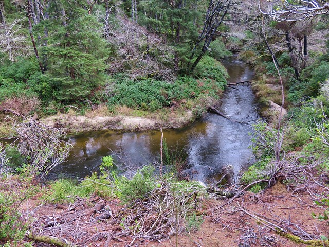 Sutton Creek