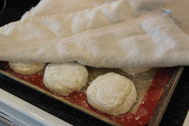 Cover with a dish towel & set-aside to proof in a warm location. I do this right on the stove top while it's preheating.