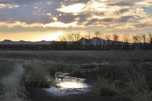 arizona clouds sunrise wetland 2016 cochisecounty whitewaterdraw