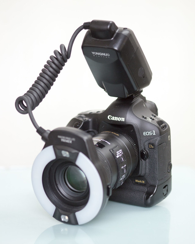Canon 1Ds Mark III - Sigma 105 mm DG Macro HSM OS