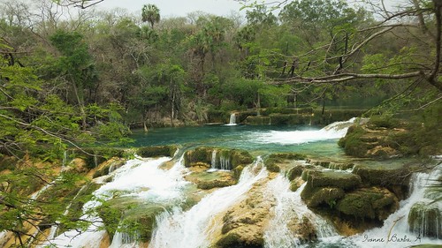 mexico waterfall san mexique luis meco cascada huasteca potosi naranjo potosina