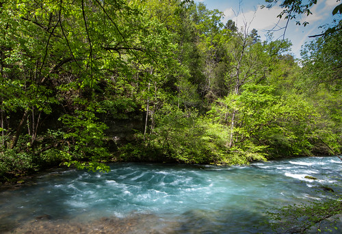 nature missouri springs rivers streams creeks greerspring missourisprings missouriparks
