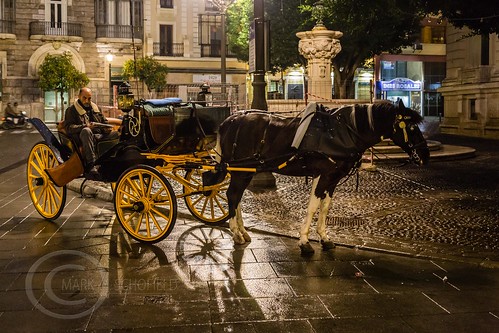 26604970882 f82d2e9ebc - Seville Jan 2016 (12) 059 - Wet and dark in the city - waiting for a punter