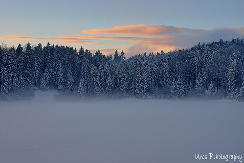 trip travel winter light snow cold color tree tourism church nature beautiful fog forest amazing nice fantastic perfect moody tour shadows view superb time hiking path unique sony awesome freezing adventure glorious slovenia journey stunning excellent passing mm slovenija fullframe striking incredible 70200 unforgettable brilliant breathtaking extraordinary aweinspiring remarkable stupendous memorable 1635 exceptional crni vrh a7ii megla javornik urosphotography