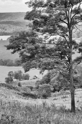 bw barn newcastle landscape virginia us unitedstates framing hallroad jeffersonnationalforest jeepride honeylocusttree tamron18270 canon70d