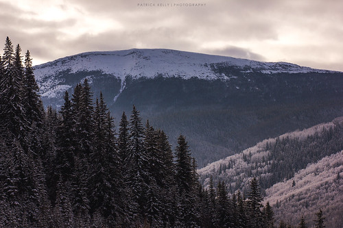 trees winter snow canada mountains cold clouds alberta valley grandecache