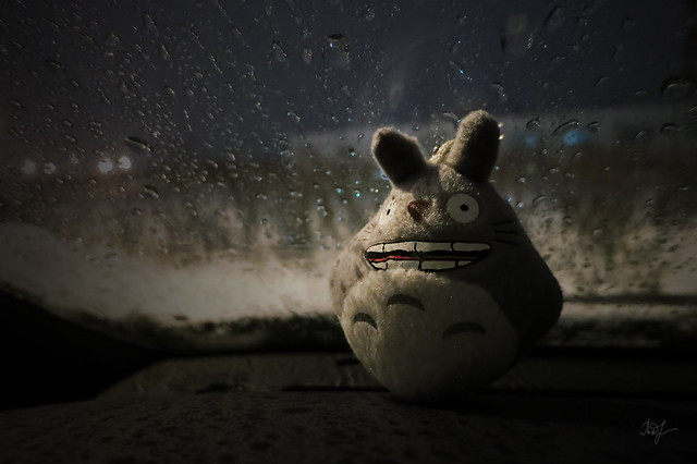 Day #61: totoro is glad that the snow is melting