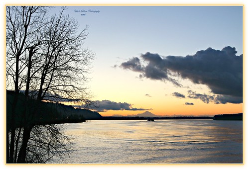 sunset reflection tree nature water silhouette clouds oregon canon river twilight dusk columbiariver waterscape waterscene picmonkey