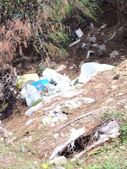 Σκουπίδια μέσα στο δάσος κοντά στη περιοχή Αναβάλοσες της Ψίνθου