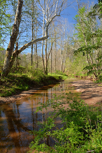 spring springtime springlandscape olinnroad