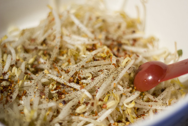 Spicy Bean Sprouts