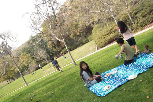 picnic12