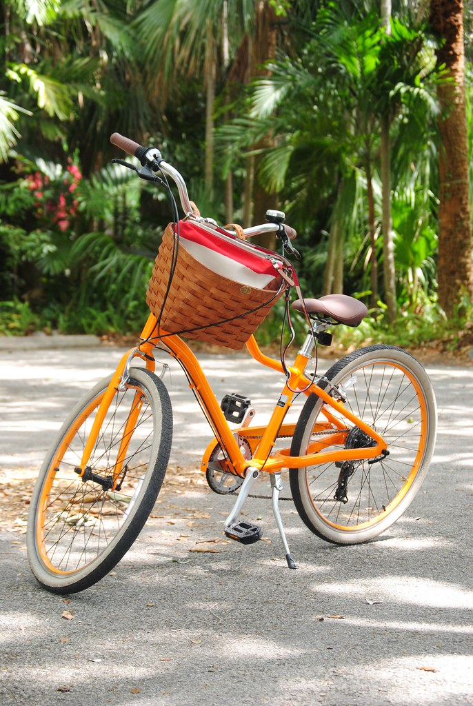 Momentum park orange bike