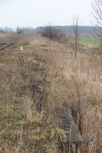 railroad overgrown station canon track platform poland polska rail railway disused pkp trackbed opolskie kubice opolszczyzna canoneos550d canonefs18135mmf3556is d29287