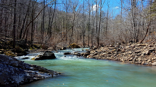 water creek forest moss spring rocks boulder flowing