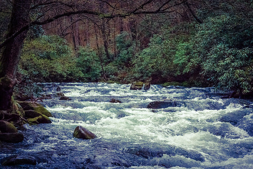 water river rocks stream northcarolina rapids wilderness greatsmokymountains oconaluftee