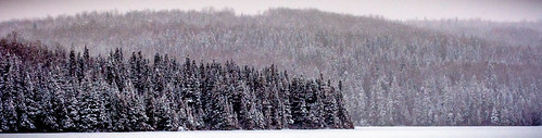 winter lake snow canada tree quebc