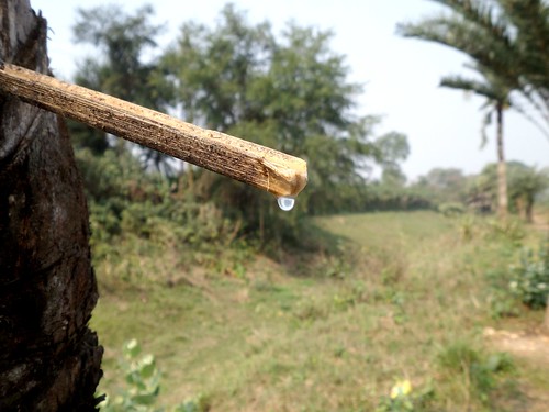 nature waterdrop samsung bangladesh lovenature formylove jessore salmanalnafis dropofdatejuice