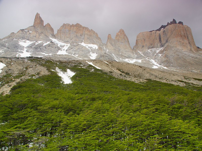 Torres del Paine: Valle del Francés (pata central W) - Por el sur del mundo. CHILE (20)