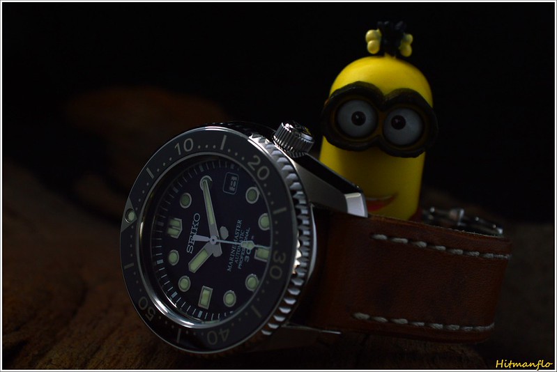 Des montres, des jouets, des figurines... (vol 2) - Page 22 25610023715_463597eedc_c