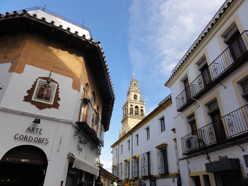 Recorriendo Andalucía. - Blogs de España - Córdoba capital (1): Judería, Alcázar de los Reyes Cristianos y callejeo. (15)
