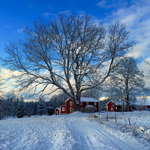 winter snow vinter sweden farm småland ash sverige snö ask bondgård kråkerås källreda småländskbondgård