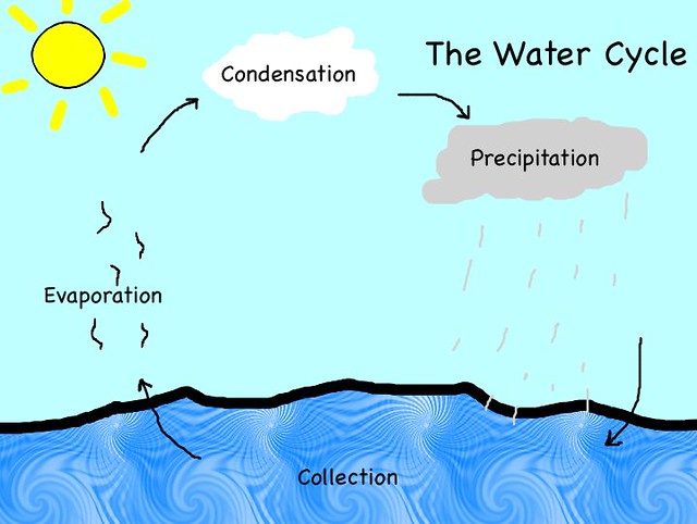08 water-cycle