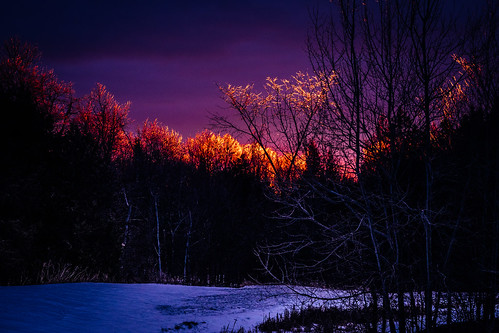 trees sunset orange snow clouds purple treetops endofwinter magicallight vankleekhill fujiprovia400x vsco day85366 25mar16 lensblr photographersontumblr vscofilm04 xf56mmf12r fujifilmxt1 ©2016ericdelorme|emrold 366the2016edition 3662016