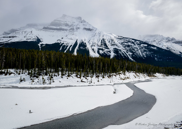 Along The Icefields Parkway