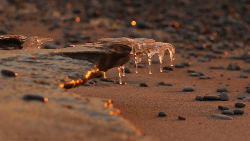 ice beach sunrise sand dof bokeh icicles pickering pickeringontario pickeringon sandragilchrist pickeringharbour
