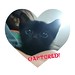 Little Bud under arrest! ��  #cat #kitten #catslover #catlover #kittenofinstagram #neko #feline #blackcat #aww #adorable #omgsocute #tiny #sosweet #luvkuching #throwback
