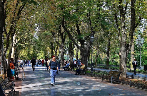 trees sunlight europe odessa ukraine streetview