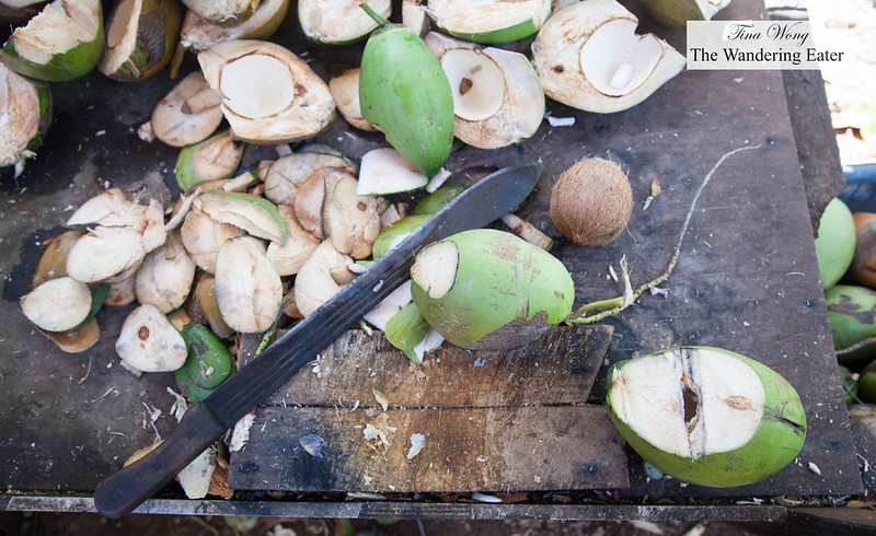Fresh coconuts hacked open with a machete