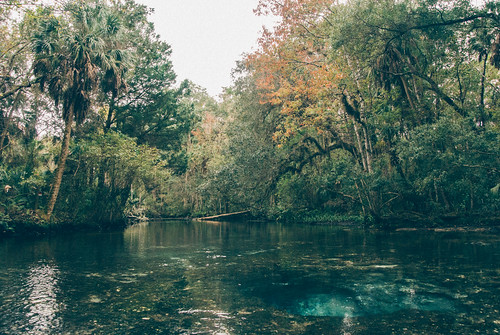 wild nature water misty swimming vintage river landscape spring florida cloudy kayaking ethereal mystical paddling sevensisters chaz muted suncoast 7sisters nikon1 mirrorless thechaz naturecoast chassahowitzka vsco springhunters sevensistersspring