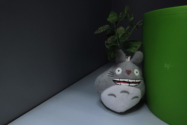 Day #55: totoro listens to the Emptiness