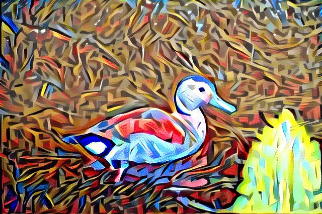 duck with a blue beak