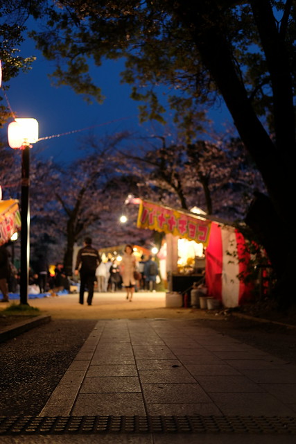 Sakura festival