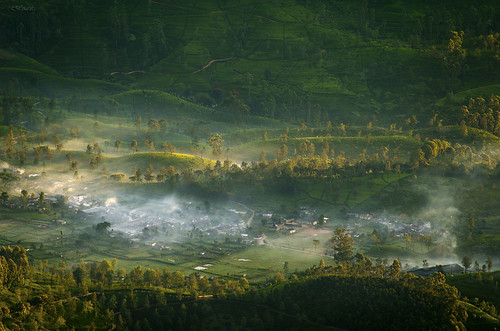 green nature field fog landscape village adams tea peak srilanka nikkor 55200 sriprada d7000