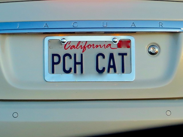 pch cat