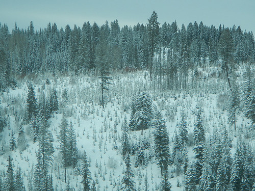 Drive-by shooting of snow scenes on Hwy 5 in the BC Interior