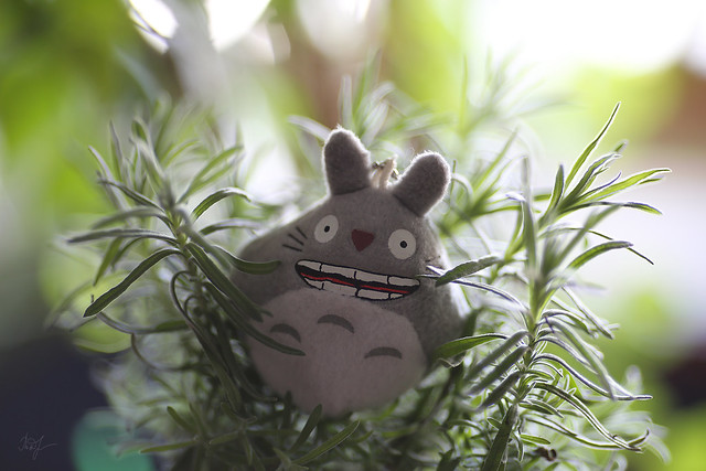 Day #80: totoro holds an aromatherapy session