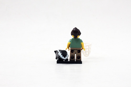 LEGO Collectible Minifigures Series 15 (71011)